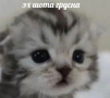 Аватарка пользователя Netwin