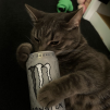 Аватарка пользователя blvssxd