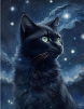 mrcatman2020